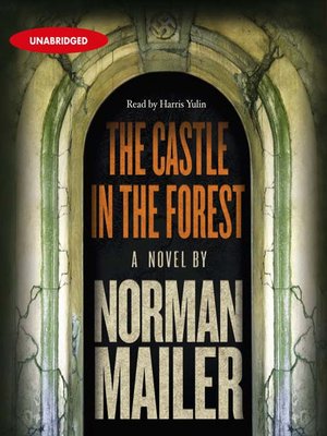 cover image of The Castle in the Forest